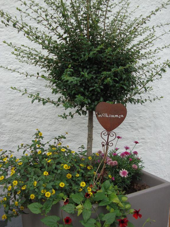 Weixler Schindelberg Hotel Oberstaufen Eksteriør billede